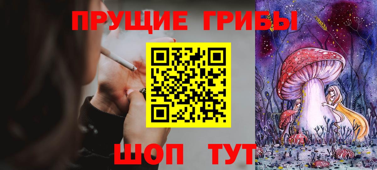 Галлюциногенные грибы MAGIC MUSHROOMS  Вход с VPN  Карабулак 